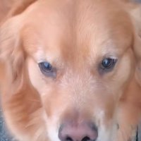 やっと歩いてくれた…？