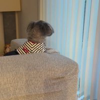 「そろそろお迎え来るかな？」