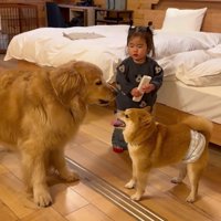 呆然と眺めるほのちゃん