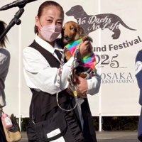 飼い主に抱っこされながらカメラを見つめる犬