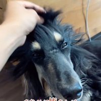 色々なものに見えて面白い♪