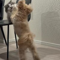 お互いに本気！！