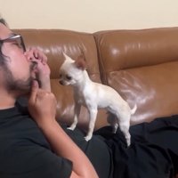 指にあごを乗せるパパ