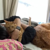 体調不良時のよもぎちゃん＆だいず君の対応6