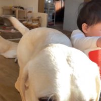 グイッと押したら…