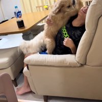 助けを呼ぶお孫さん