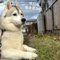 今日も待つROSEちゃん