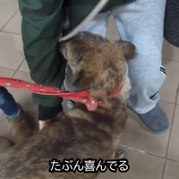 お次はママさんにご挨拶