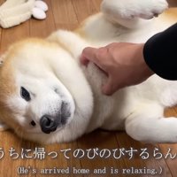 帰宅したらゴキゲンに♪