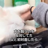 八角くんとお父さんの初対面