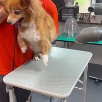 怒りだしてしまった！