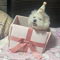 お誕生日