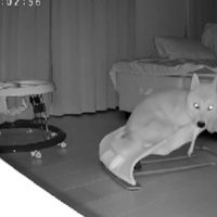 ぴったり収まった♡