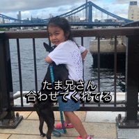 後ろ足で立ち上がった犬とハグをする女の子