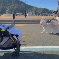 まさかのスルー！！