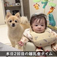 食事も見守ります