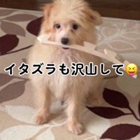 いたずらをしたり…