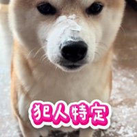 一瞬で犯人特定！！