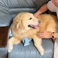 相思相愛なふたり