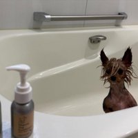 衝撃的な姿に変身！！