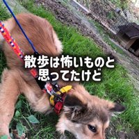 ラッキーくんの変化5