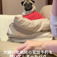 激しく凝視するべろくん