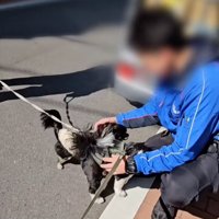 忙しいお兄さん