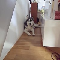 どこにいても雷の音が…