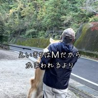 全力で顔をぺろぺろ