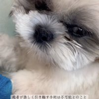 原因は分かったけれど…