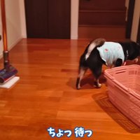 飼い主さんを置いて部屋へ…！