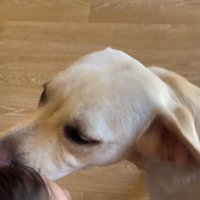 愛が止まりません♡
