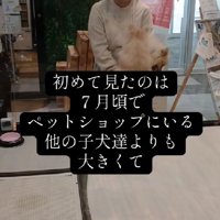 5ヶ月間売れなかった