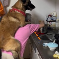 おんぶしてもらう大型犬
