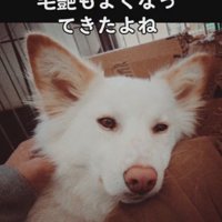 少しずつ心を開いてくれた