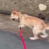 嬉しそうな姿に涙…