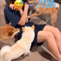 可愛いけれど負荷がすごい！