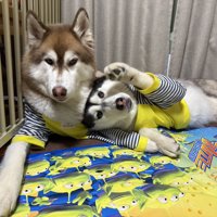 仲良し