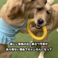 遊びも全力！