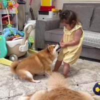 手加減していたものの…