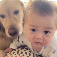 並んでくつろぐ犬と赤ちゃん