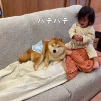 パチパチと拍手