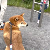 「大丈夫かな…」