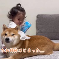 優しいうにくんに感嘆！