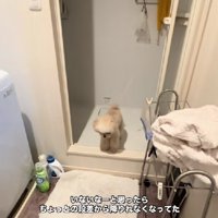 尻尾をフリフリ♪