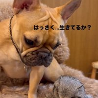 心配性なおとちゃん