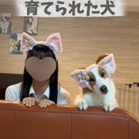 イギーちゃんの相棒は…