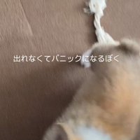 大喜びでママの元へ♡