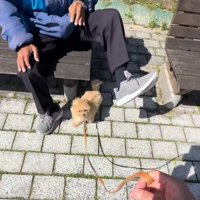 「可愛がってくれてありがとう」