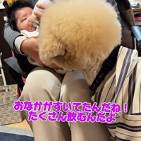 母性溢れる姿にホッコリ